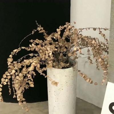 福鼎FurryQQ群介绍